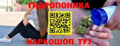 стаф Моздок