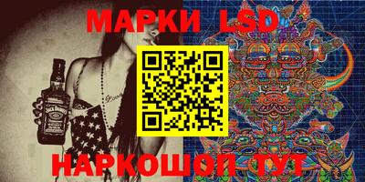 стаф Моздок