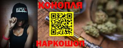 шишки Можга