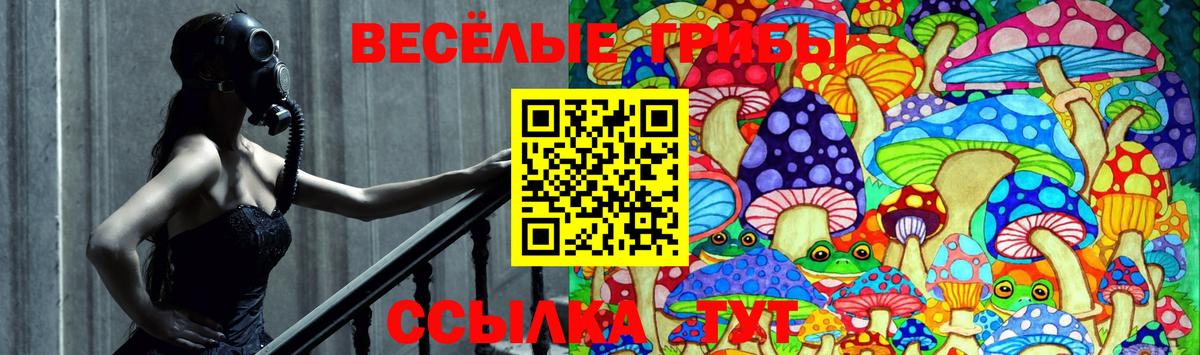 Псилоцибиновые грибы мухоморы Томск